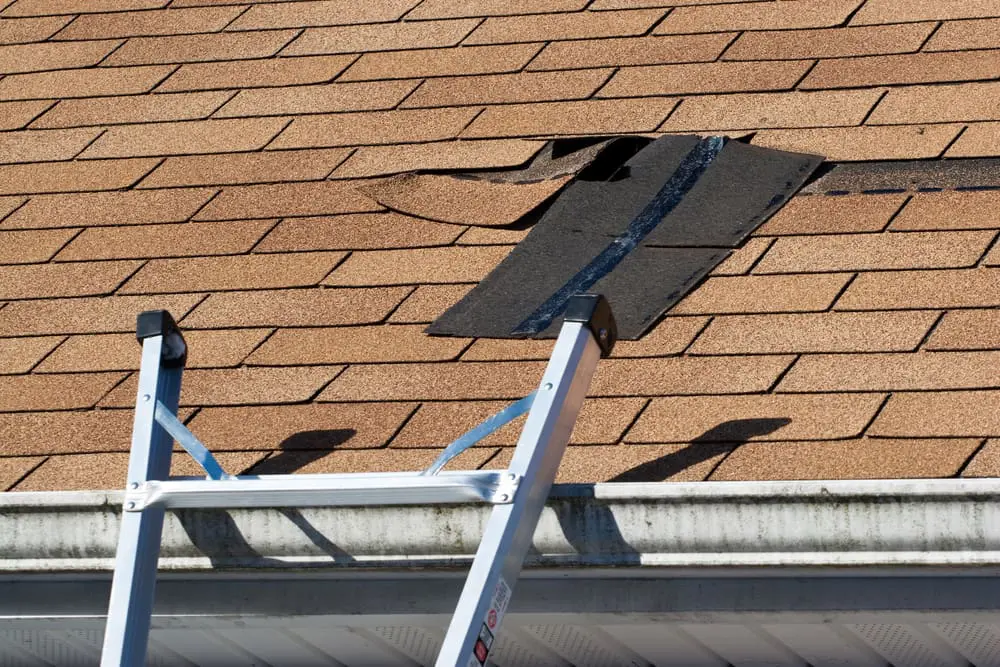 Roof Repair Contractor in High Point, North Carolina