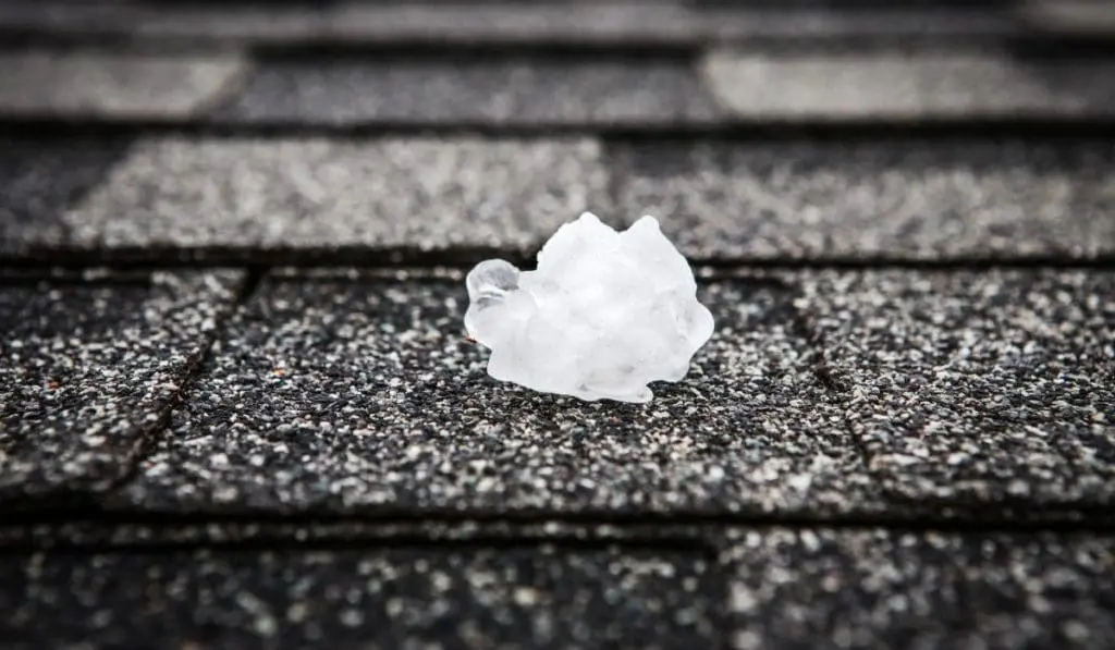 hail damage roof replacement in High Point North Carolina