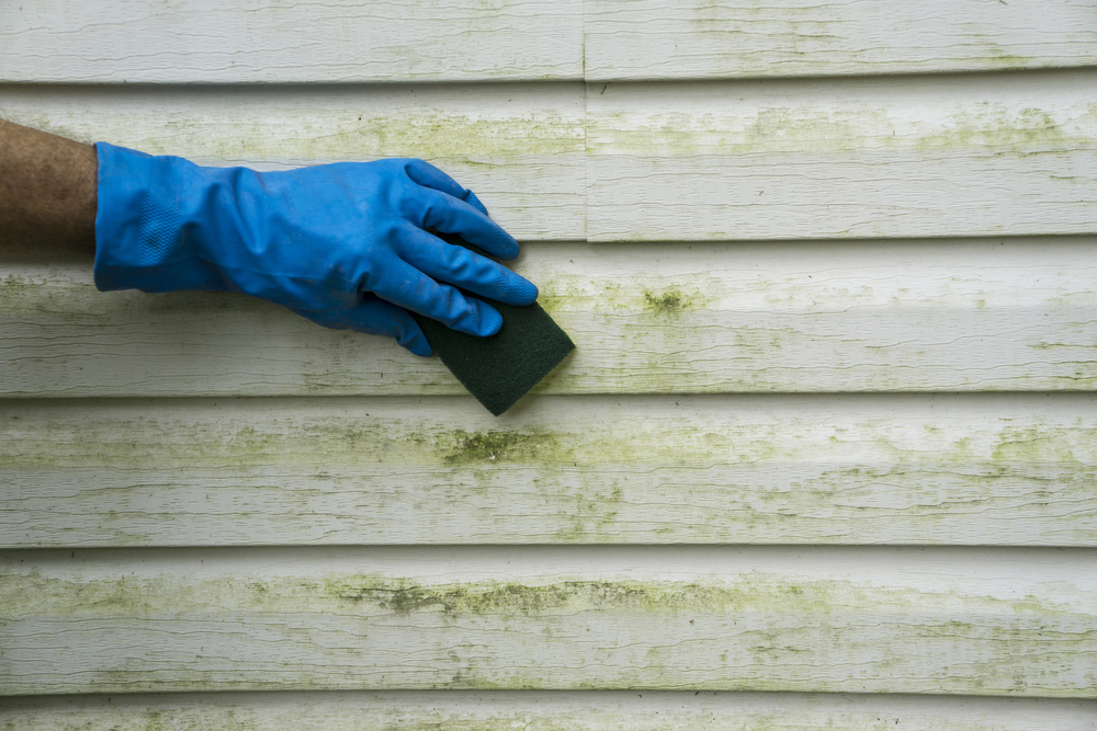 someone cleaning mold off of the siding of a house with a sponge