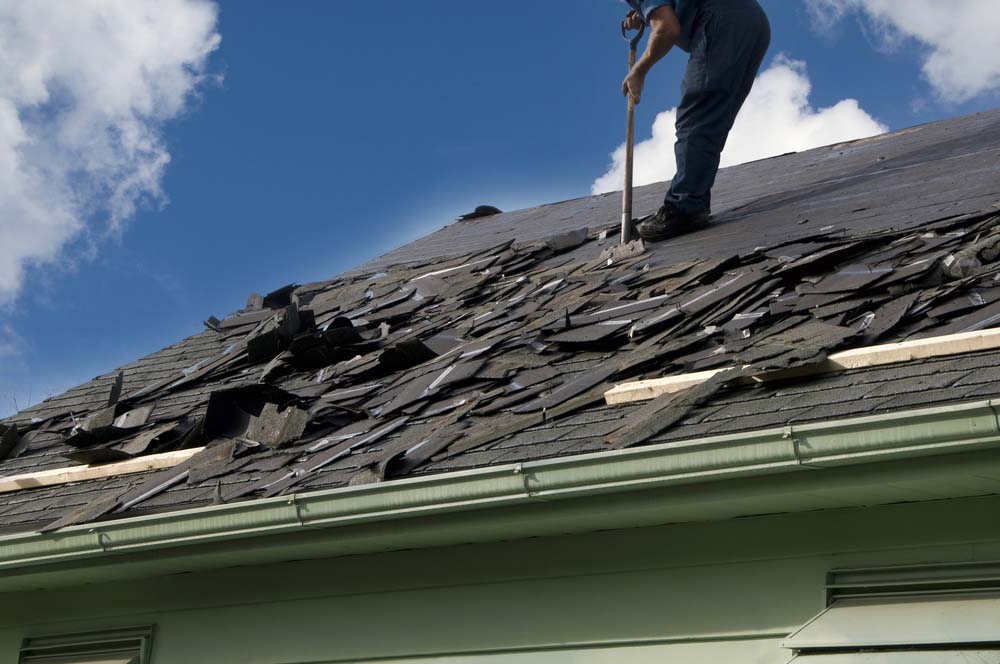 a shingle roof with a lot of loose shingles and a roofer removing them
