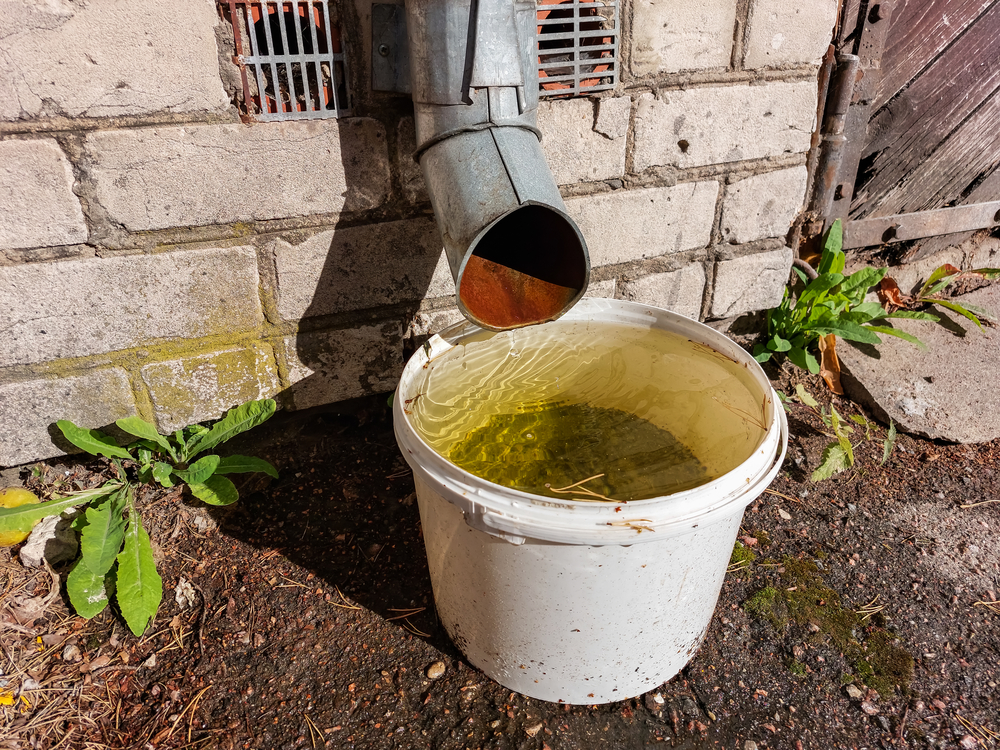 Bucket under a downspout