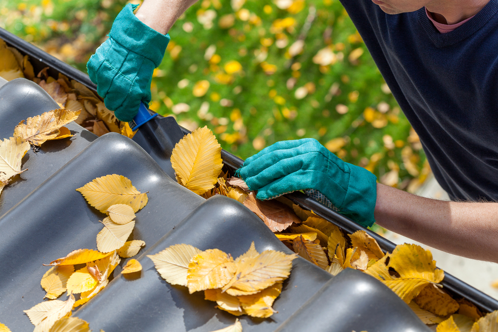 Man cleaning leaves out of gutters
