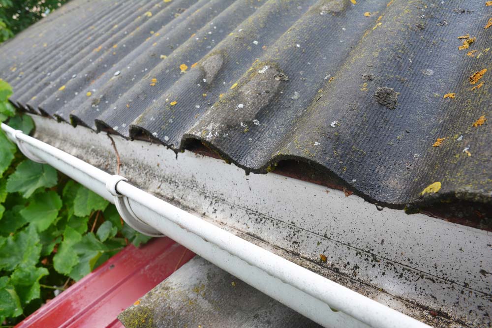 rainy roof gutter with mold