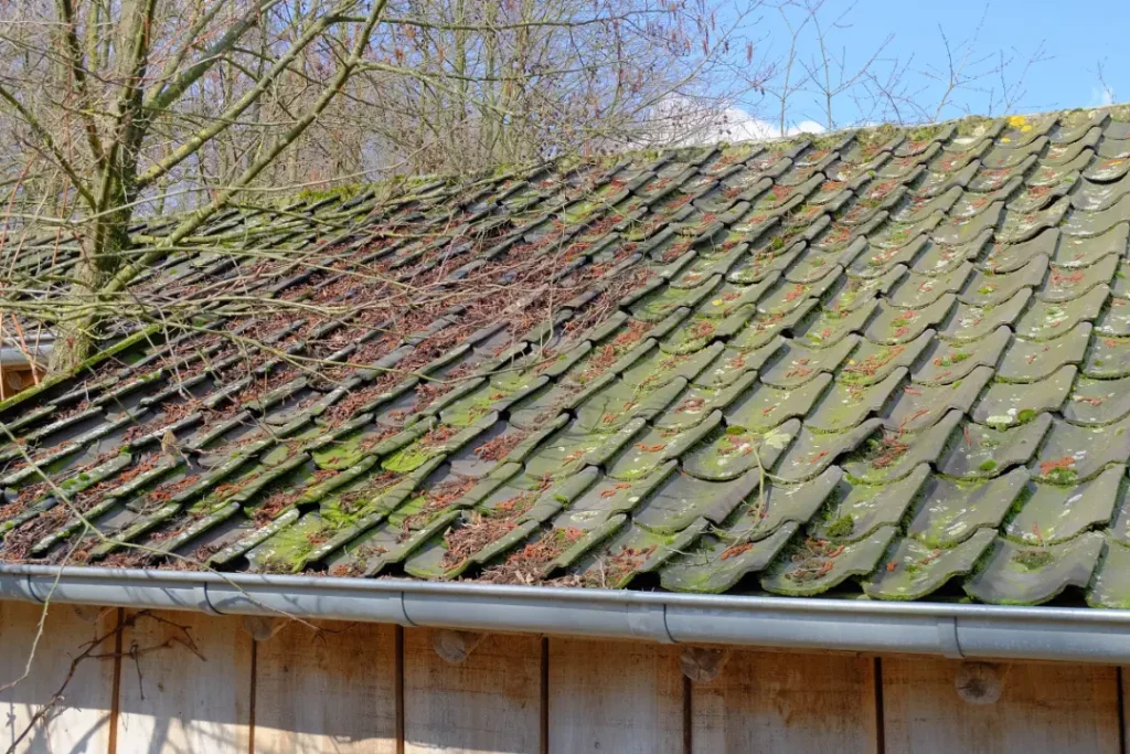 Spring Roof Maintenance Tips